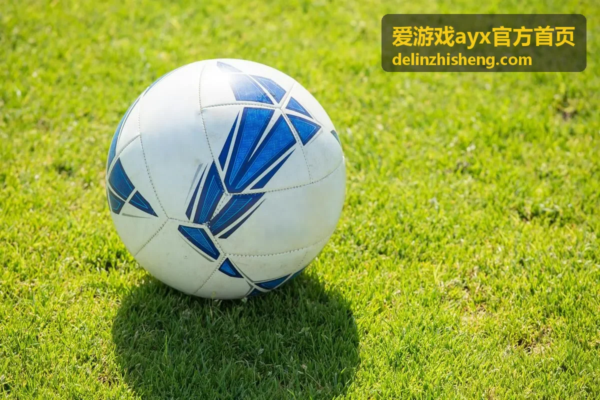 爱游戏ayx官方首页首次访问指引场景